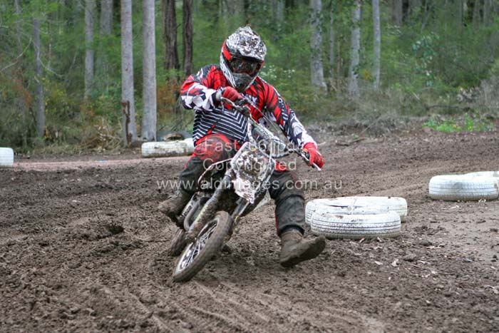 678x444 pixels (82K)